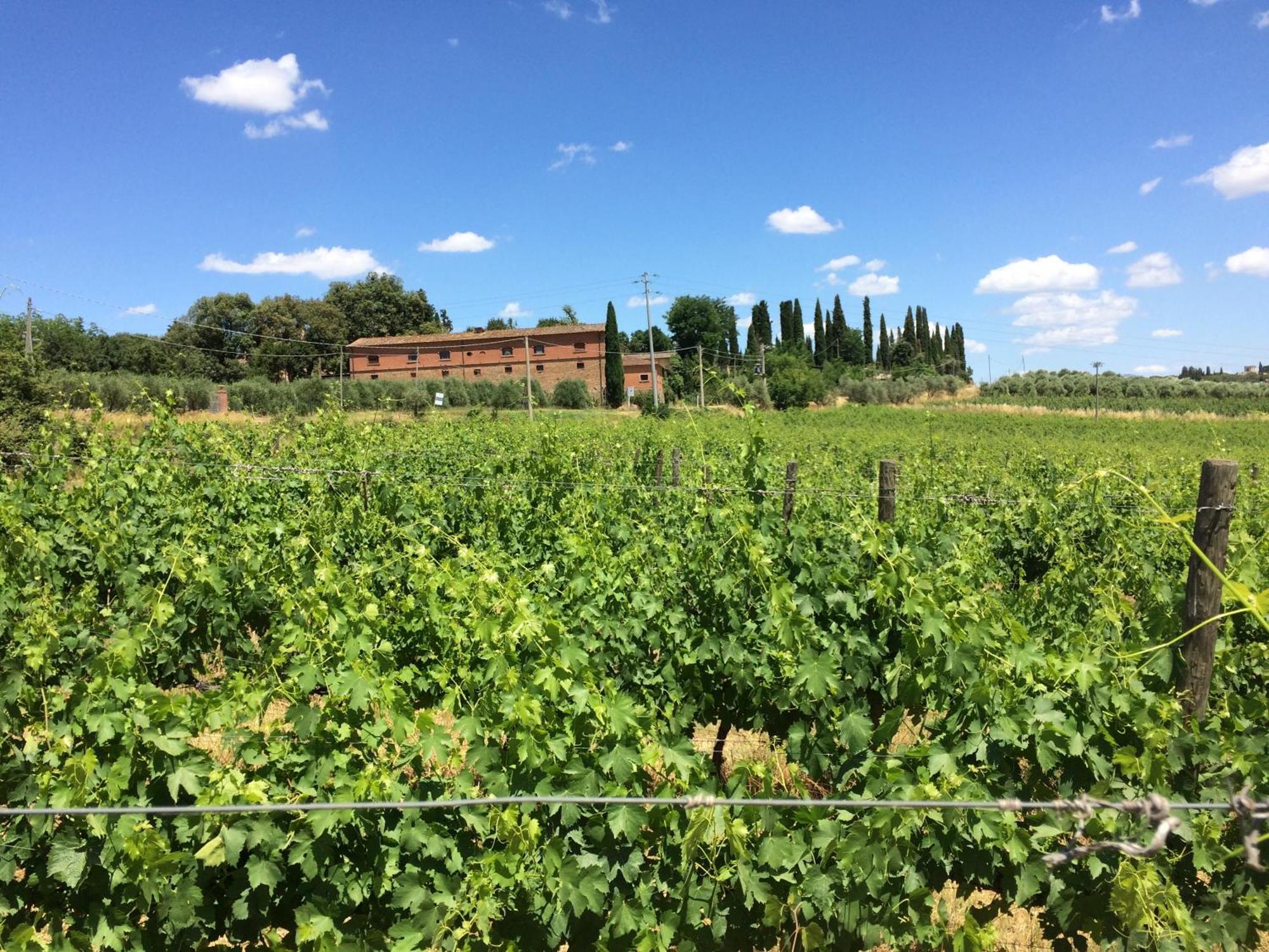Agriturismo Fattoria Santa Vittoria Pozzo  Екстер'єр фото